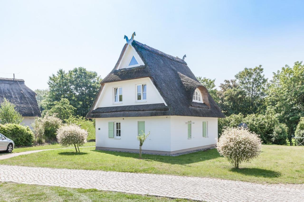 Wittenbeck Ferienhaus Hanni מראה חיצוני תמונה