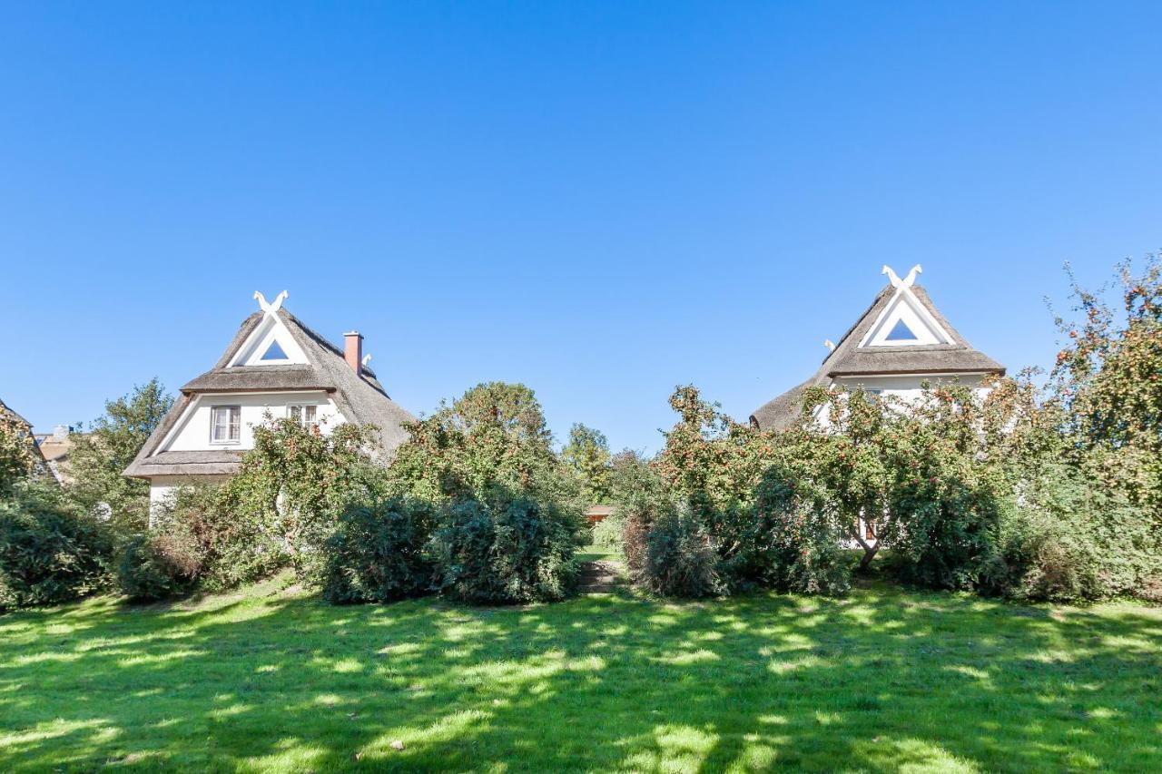 Wittenbeck Ferienhaus Hanni מראה חיצוני תמונה